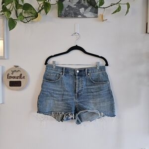 Everlane The Cheeky High-Wait Button Fly Shorts